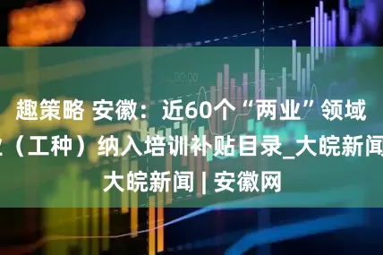 趣策略 安徽：近60个“两业”领域相关职业（工种）纳入培训补贴目录_大皖新闻 | 安徽网