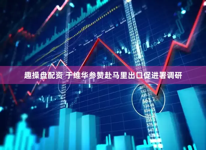 趣操盘配资 于维华参赞赴马里出口促进署调研